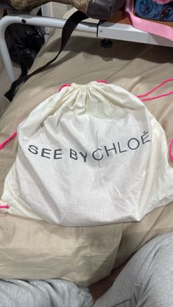 Chloe purse