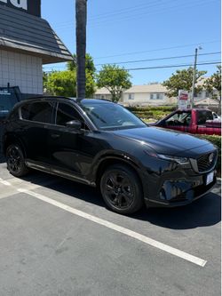 Tint for sale