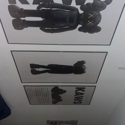 Kaws phots 