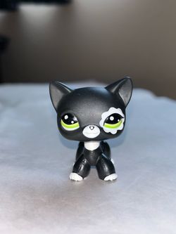 Littlest Pet Shop #2249 Cat Black&White