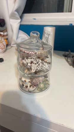 Seashells