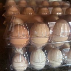 Fresh Organic Eggs