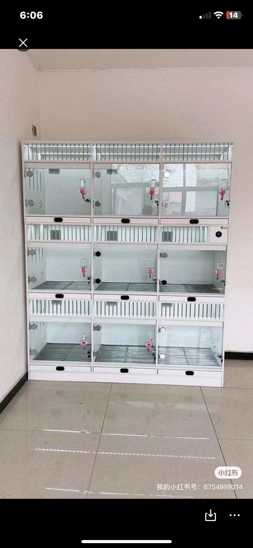 dogs, puppies cage