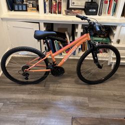 Nishiki Mountain Bike (New)