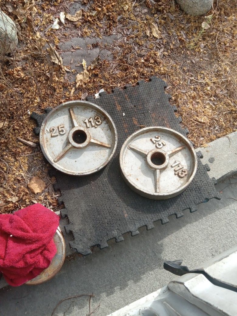 ASSORTED PLATED WEIGHTS 90lbs