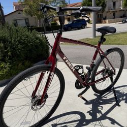 Trek Verve 2 Disc Gen 4 
