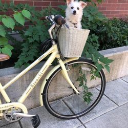 BiKE Bianchi Italian Cruiser Bicycle