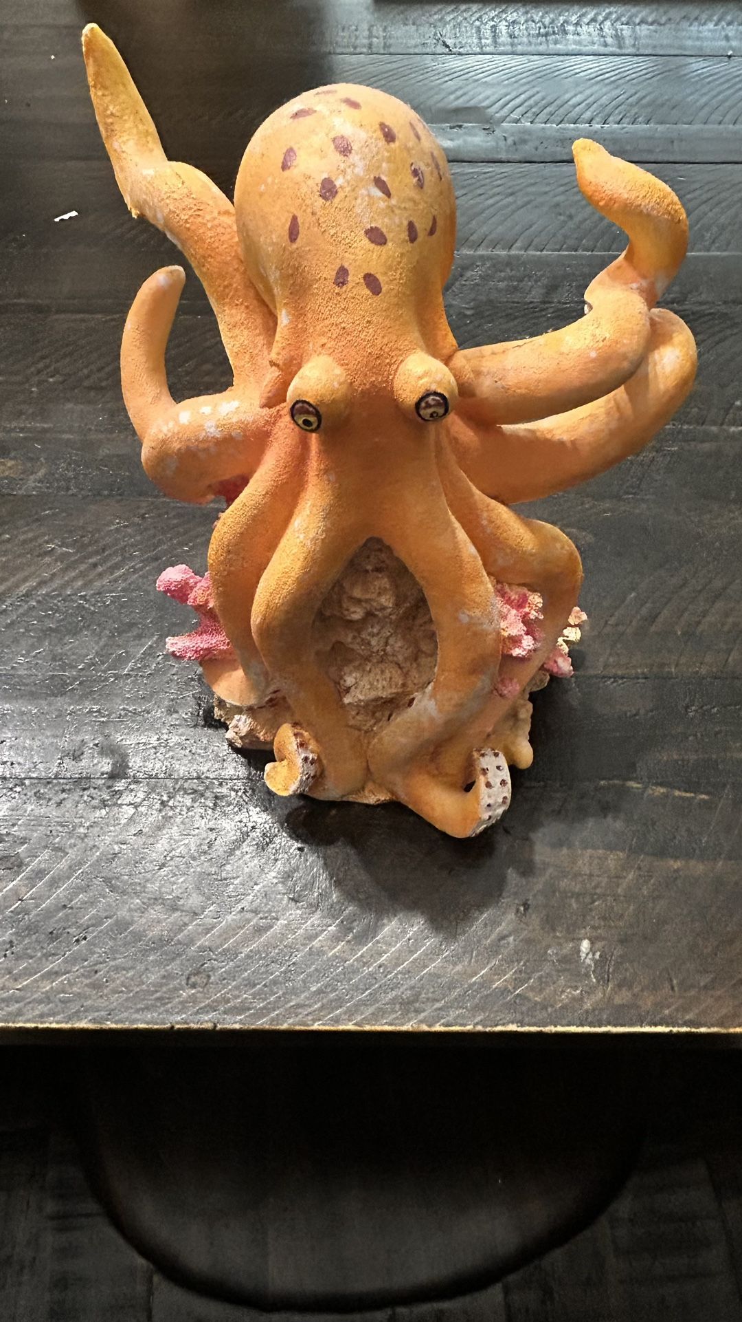 Fish decor