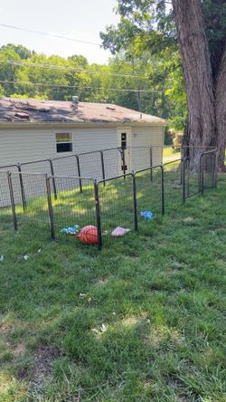 Outdoor Dog kennel