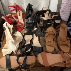 Women’s Shoe/Hells Collection