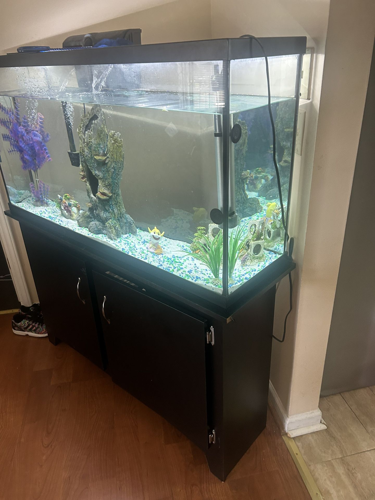 Fish Tank 65 