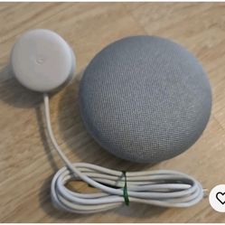 Google Home Mini Speaker