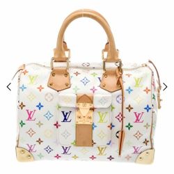 Louis Vuitton Multicolor