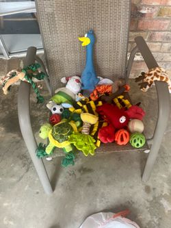 Dog toys