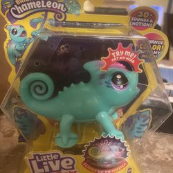 Little  Pets, Sunny the Bright Light Chameleon
