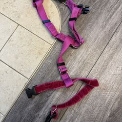 Dog Harness