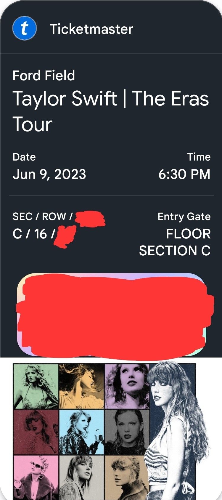 1xTaylor Swift Ticket (Detroit)