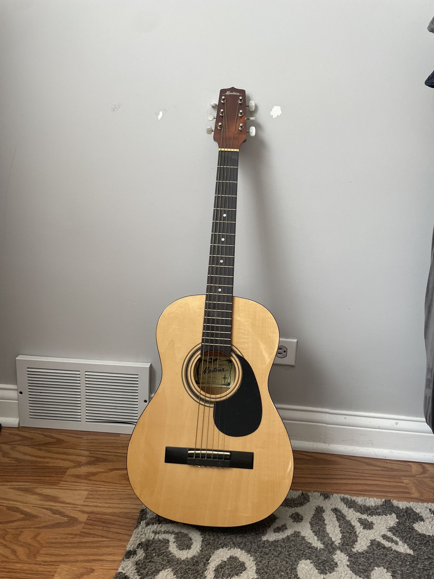 Acoustic Guitar