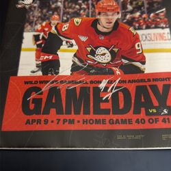 Anaheim Ducks Lukas Dostal Autograph Game Day Program