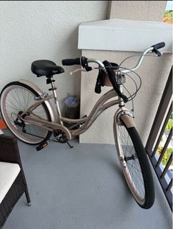 Cruiser bike