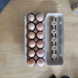 Free Range Brown Eggs