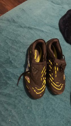 Preditors brand new