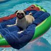 Mint Mike