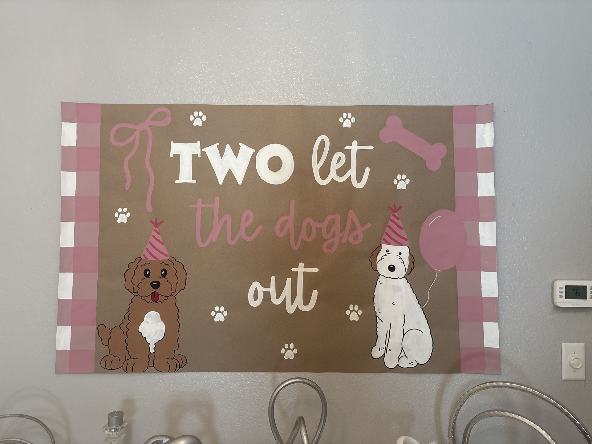 Girl’s 2nd birthday Party Decorations