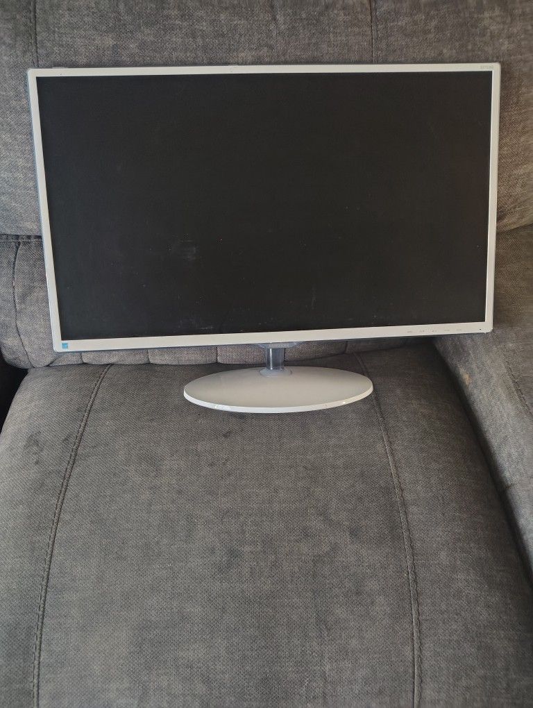 Samsung Computer Monitor 