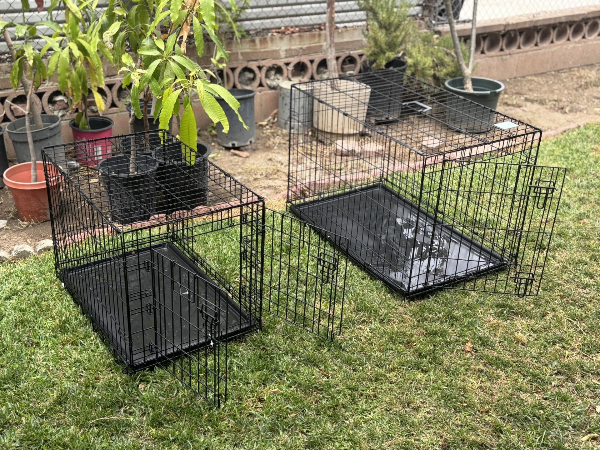 Dog Kennel
