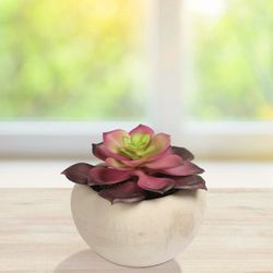 Mainstays Artificial Succulent Plant