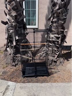 Bird cage