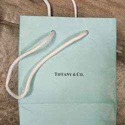 Tiffany & Co. Jewelry Bag