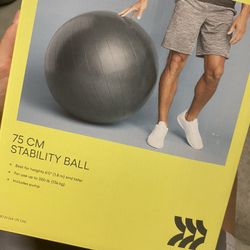 Yoga Ball With Pump 