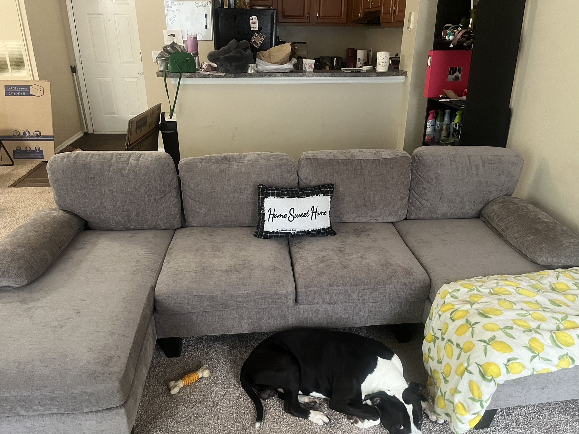 Grey Sectional