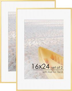 Gold Aluminum 16x24 Picture Frames Set of 2