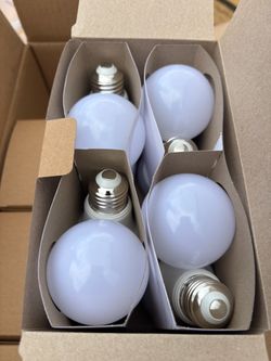 LED light bulbs pack of 8