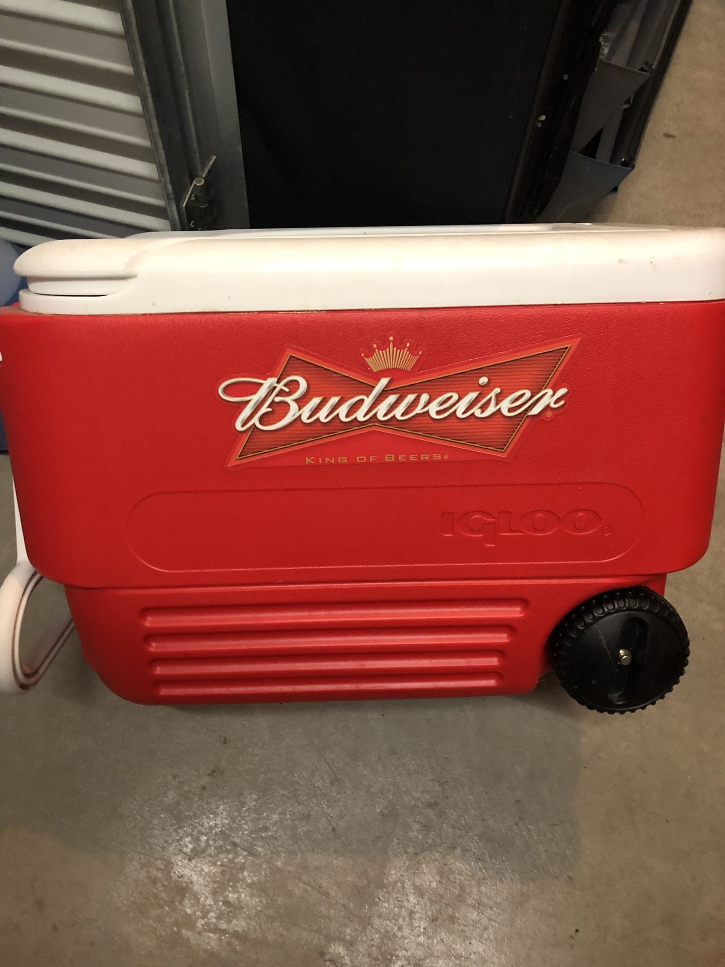 Budweiser igloo cooler