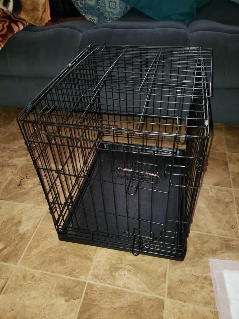 Dog Cage 