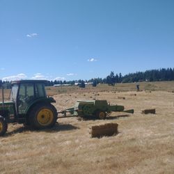 Hay- Local Grass