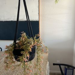 Hanging Artificial Plant Set