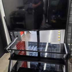 TV/ Entertainment Stand