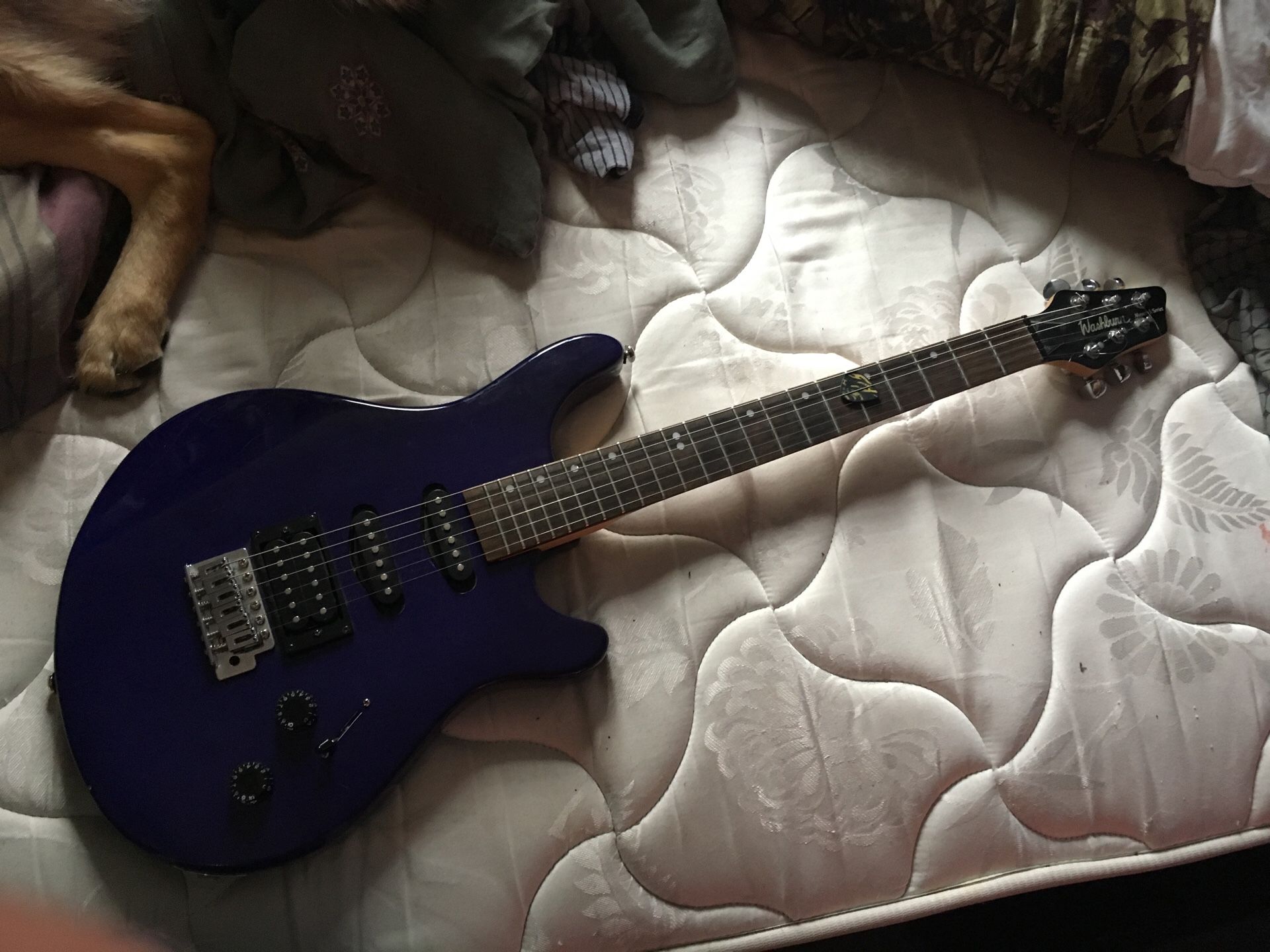 Washburn guitar