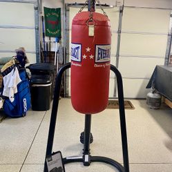 Everlast Punching Bag & Speed Bag