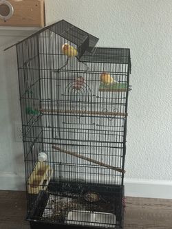 Birdcage