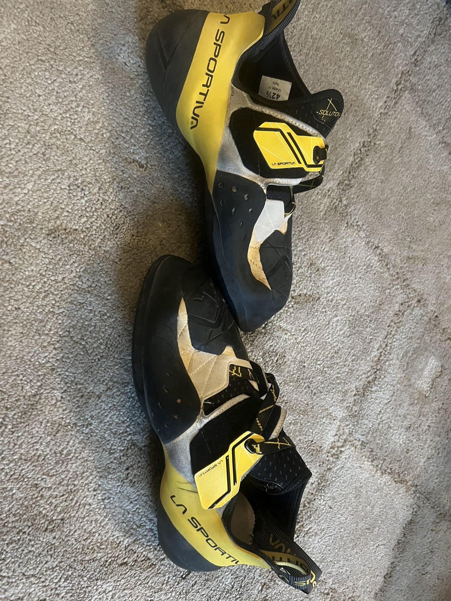 Indoor Rock Climbing Shoes