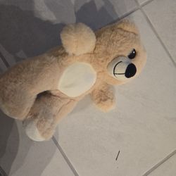 Plush: Bear