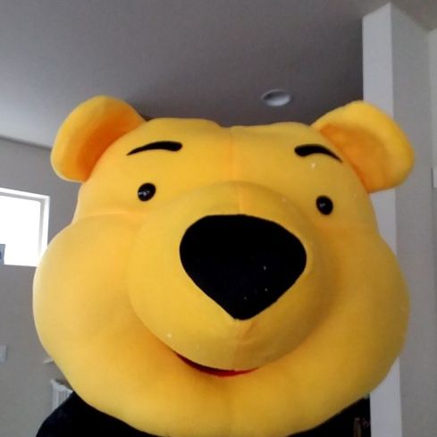 Professional Winnie The POOH Mascot Costume