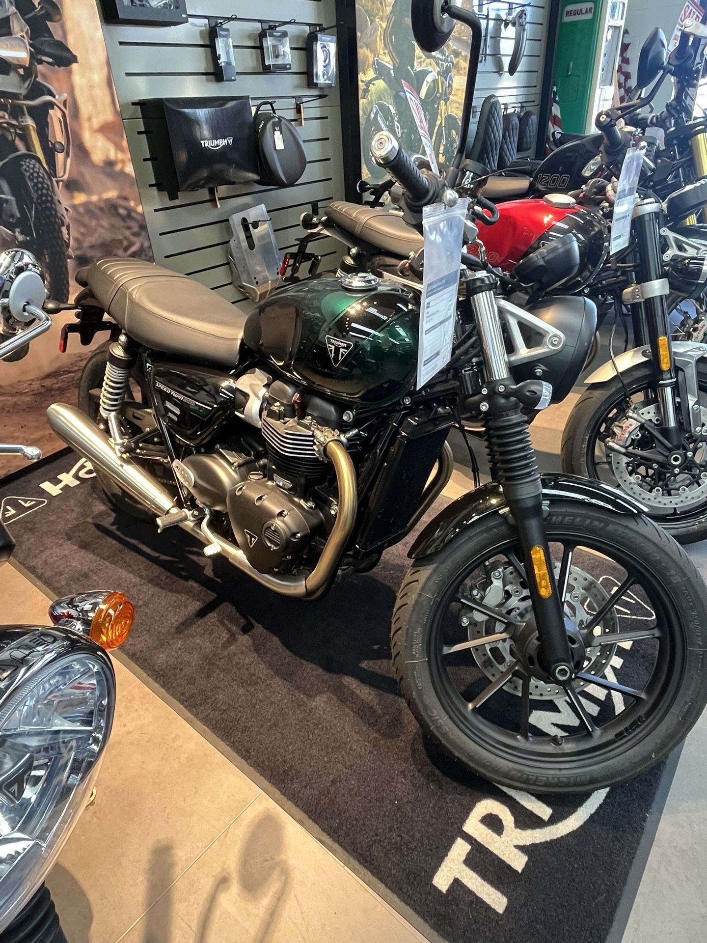 2024 Triumph Speed Twin 900     Street bike cruiser motorcycle dirt bike