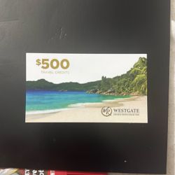 Cruise Voucher